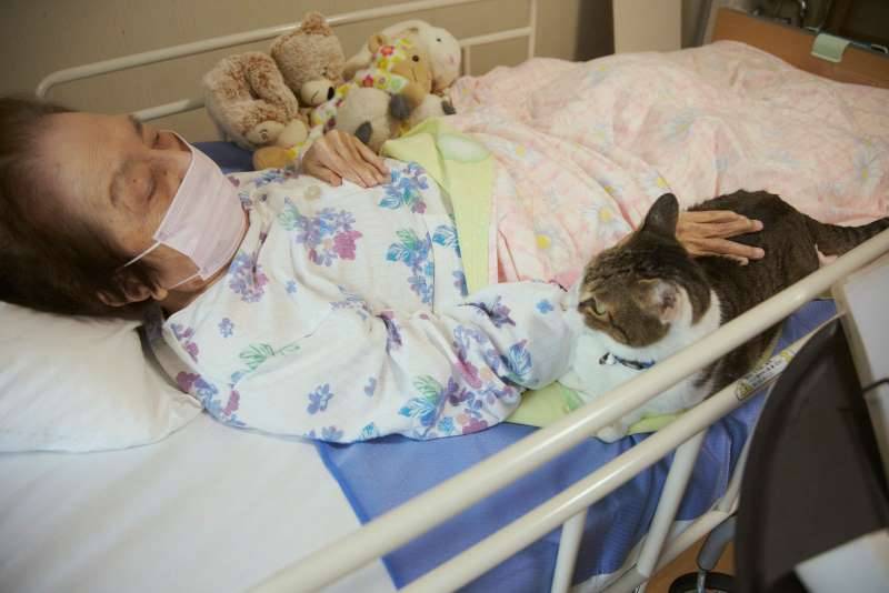 仲良く昼寝をする入居者の女性と愛猫のプリンちゃん 仲良く昼寝をする入居者の女性と愛猫のプリンちゃん