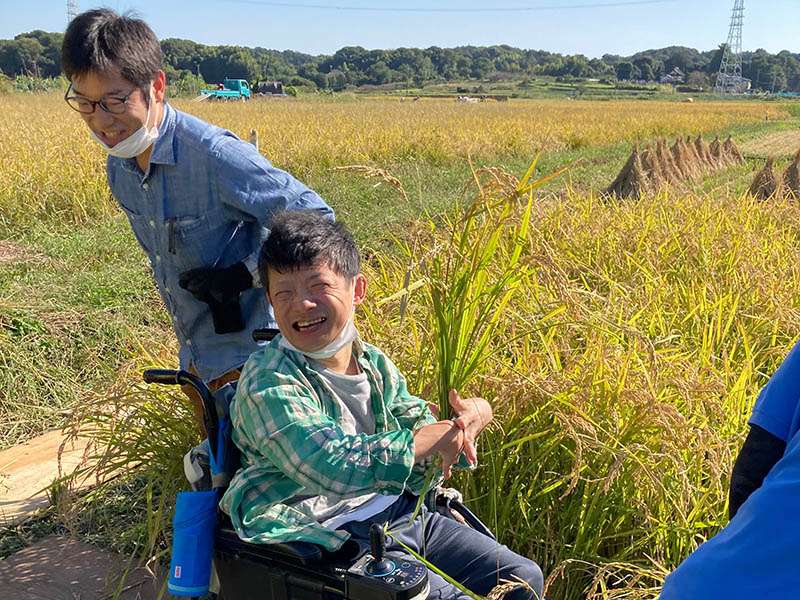 稲穂の香りを身体いっぱいに感じる収穫期 稲穂の香りを身体いっぱいに感じる収穫期